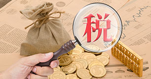 一般納稅人服務(wù)內(nèi)容